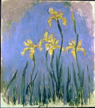 žluté kosatce; Les Iris Jaunes, kolem 1918-1925 (olej na plátně) od Claude Monet