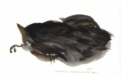 Spící kočka, 1985 (akvarel) od Claudia Hutchins Puechavy