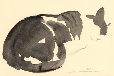 Spící kočka, 1984 (akvarel) od Claudia Hutchins Puechavy