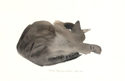 Spící kočka, 1985 (akvarel) od Claudia Hutchins Puechavy