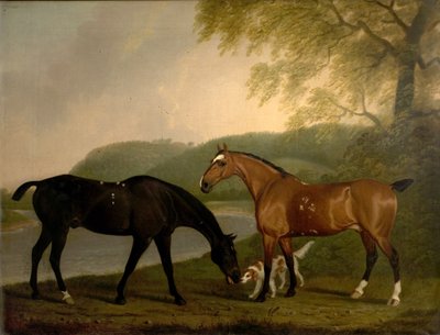 Koně a pes v krajině, c.1830 od Clifton Tomson