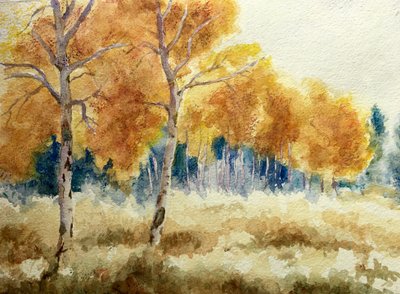 Podzimní osiky v Tetonech, 2011 (akvarel) od Clive Wilson