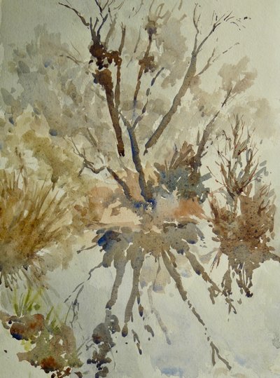 Skopová kýta, Eton, 2010 (akvarel) od Clive Wilson