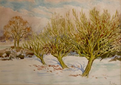 Sad, lednové slunce, 2000 (akvarel) od Clive Wilson