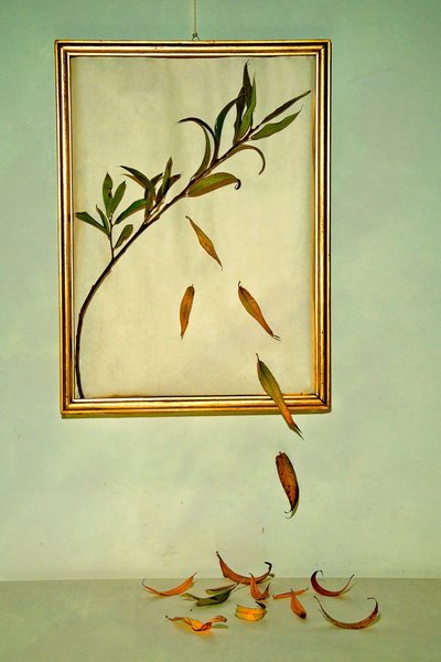  od Codruta Georgescu