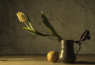 Zátiší se žlutým tulipánem od Codruta Georgescu