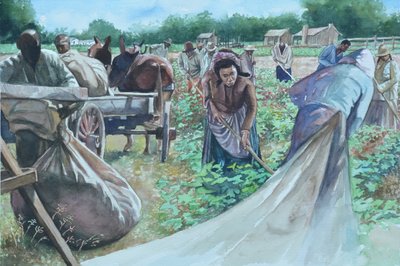 Backbreaking, 2010 od Colin Bootman