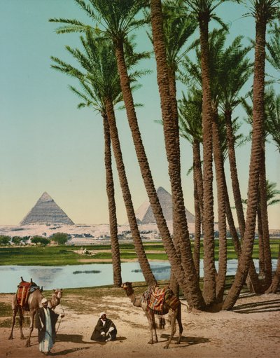 Palmy, beduíni a pyramidy, Káhira, Egypt od Company Photoglob