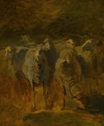 Nedokončená studie ovcí, c. 1850. od Constant Troyon