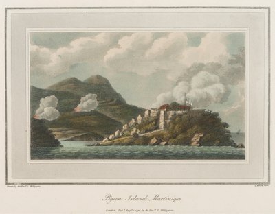 Holubí ostrov na Martiniku. Litografie (56,6x43,4 cm), autor: reverend Cooper Willyams (1762-1816) od Cooper (after) Willyams