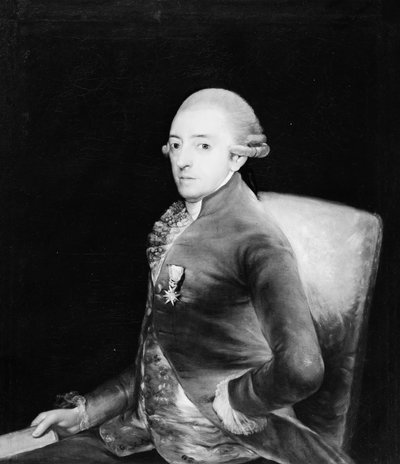Don Bernardo de Iriarte 1735-1814. od Copy after Goya
