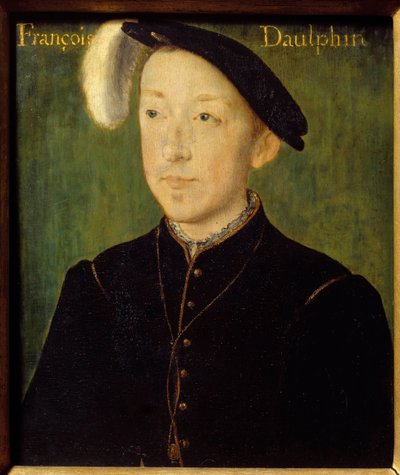 Portrét Karla Francouzského, vévody z Orleansu (1522-1545) (snad 3. syn Františka I.) Dřevomalba od Corneille De Lyon (Corneille de The Hague) (1500/1510-1574) 16. století ne. 0,16x0,13 m Bayonne, Musee Bonnat od Corneille de Lyon
