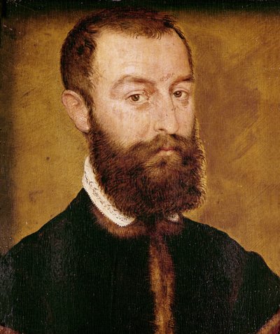 Portrét muže s plnovousem nebo, Portrét muže s hnědými vlasy od Corneille de Lyon