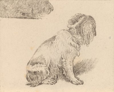 Sedící pes, 1777. od Cornelis Brouwer