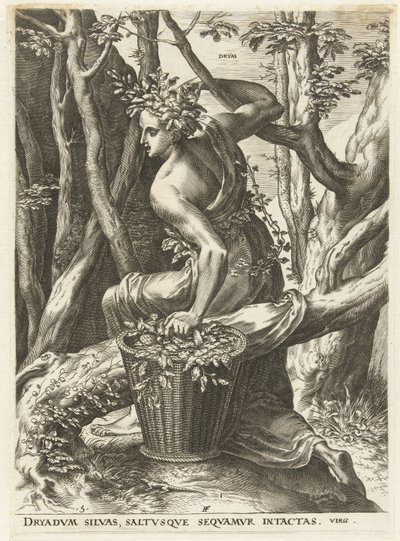 Dryas (název na objektu) Bohyně a nymfy (název série) od Cornelis Cort