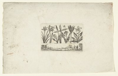 Rij bloemen boven landschap Bloemen en landschappen (series title)   1375575   cs       czech Successfully Translated  Original: Civil War Scene Translat: Civil War Scene 1336642 cs czech Successfully Translated Original: De liefdesbrief (original title) T od Cornelis Danckerts (I)