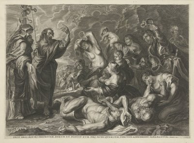 Měděný had od Cornelis Galle (I)