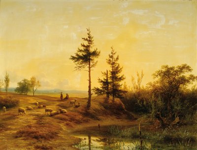 Rozsáhlá krajina vřesovišť od Cornelis Lieste
