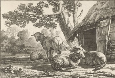 ovčín od Cornelis Ploos van Amstel (signed by artist)