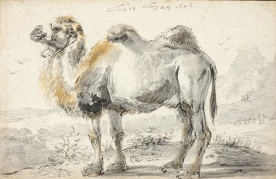 Velbloud od Cornelis Saftleven