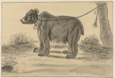 Medvěd přivázaný ke stromu od Cornelis Saftleven