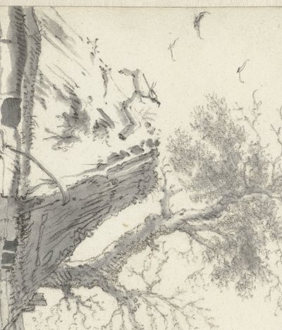 Statek na vodě od Cornelis Saftleven