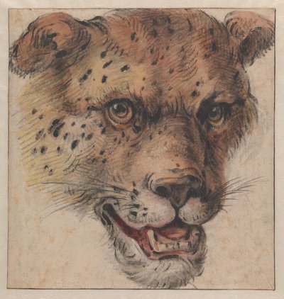  od Cornelis Saftleven