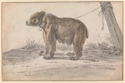  od Cornelis Saftleven