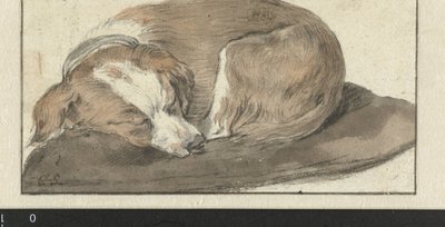 Sleeping Dog   1389030   cs       czech Successfully Translated  Original: Vrouwenhoofd Translat: Vrouwenhoofd 1386983 cs czech Successfully Translated Original: Vignet til Stormen Translat: Vignet til Stormen 1266522 cs czech Successfully Translated Origi od Cornelis Saftleven