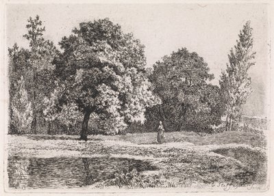 Krajina se stromy, jezerem a ženou Pátá suita (název série) od Cornelis Steffelaar
