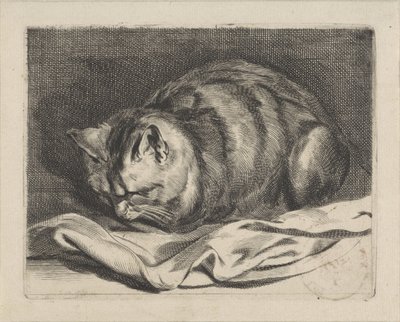 malá kočka od Cornelis Visscher (II)
