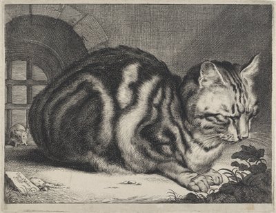 Velká kočka od Cornelis Visscher (II)