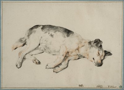  od Cornelis Visscher