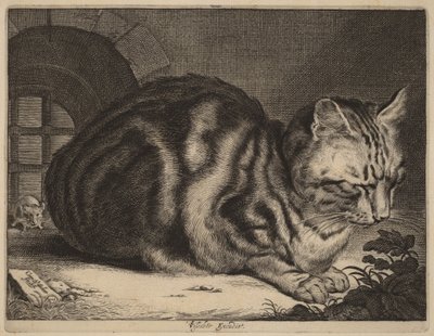 Velká kočka od Cornelis Visscher