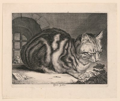 Velká kočka od Cornelis Visscher