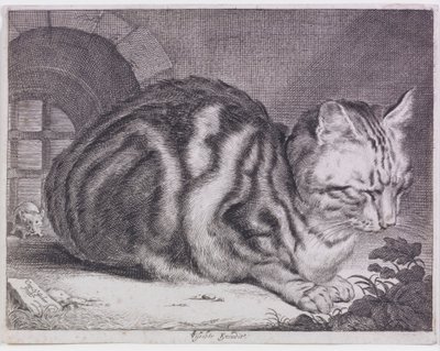 Velká kočka od Cornelis de Visscher