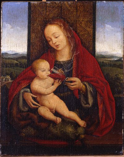 Madona s dítětem na trůn od Cornelis van Cleve