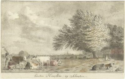 Krávy na louce mimo Haarlem, na Schooten (název na objektu) od Cornelis van Noorde
