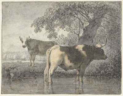 Dvě krávy pod stromem u vody od Cornelis van Noorde