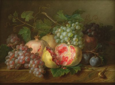 Zátiší z granátových jablek, hroznů a švestek na mramorové římse (panel) od Cornelis van Spaendonck