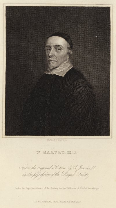 William Harvey od Cornelius Janssen van Ceulen