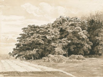 Wrottesley Hall - The Shrubbery: Sépiová kresba, 1820 od Cornelius Varley