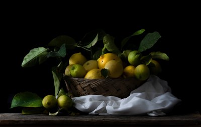 Venkovský košík na citrony od Corrado La Licata
