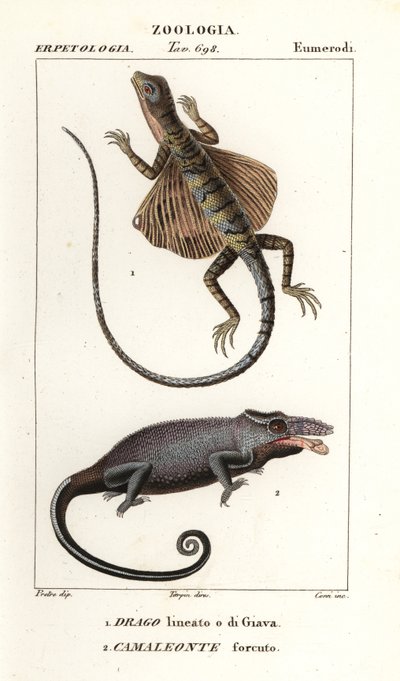 Common flying dragon and two-horned chameleon   1412020   cs       czech Successfully Translated  Original: Arashi Rikan als Miyamoto Musashi Translat: Arashi Rikan als Miyamoto Musashi 1381609 cs czech Successfully Translated Original: Jonge man met hoed  od Corsi Corsi