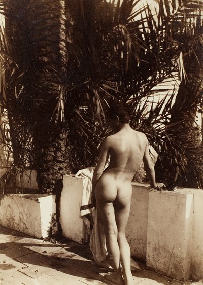 Mužský akt, 1890. od Count Wilhelm von Gloeden