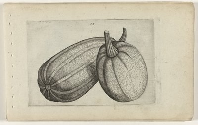 Dva melouny Know the Lilies (název série) od Crispijn van de Passe (I) (attributed to)