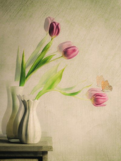 Zázračné tulipány a motýl od Cristiano Giani