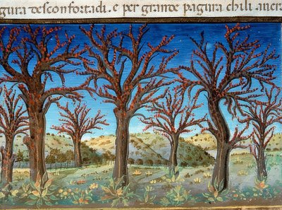 Konec světa: stromy budou pokryty krví (c.147v). 1476 od Cristoforo De Predis