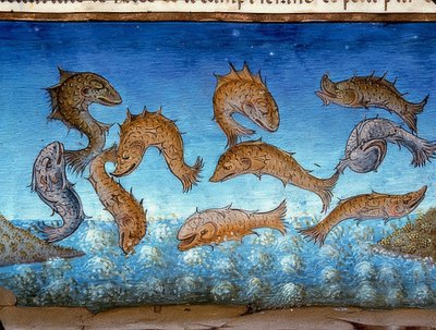 Konec světa: ryba bude plavat výše (c.147r). 1476 od Cristoforo De Predis