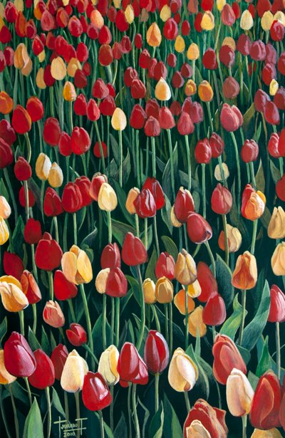 Tulipány, 2010 (akryl na papíře) od Cruz Jurado Traverso
